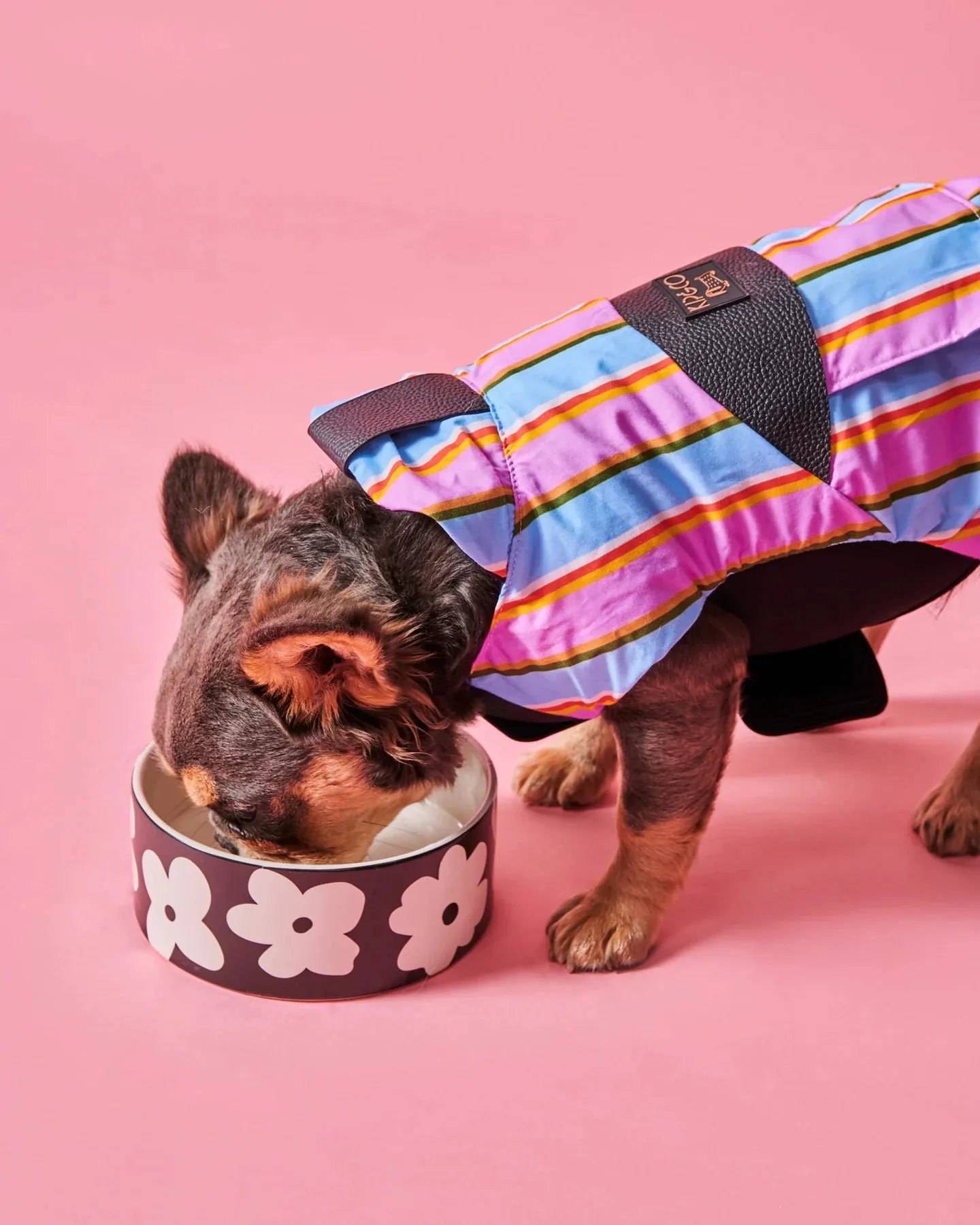 Kip & Co Fez Stripe Dog Jacket