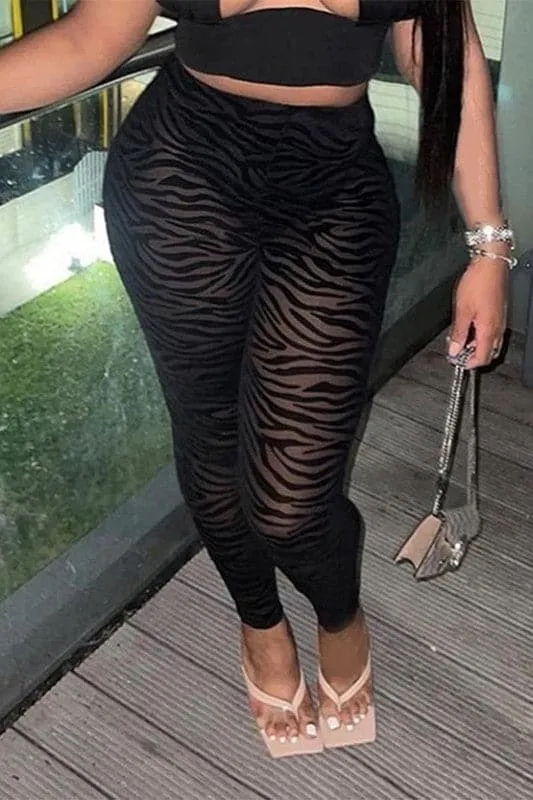 PY365 Mesh Graphic Tights